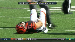Illustration for article titled Why Your Team Sucks 2015: Cincinnati Bengals